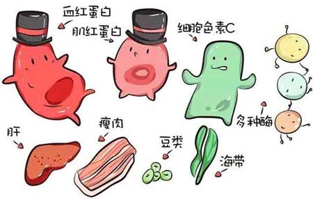 成人午夜福利视频厂家分析元素之间的协同作用
