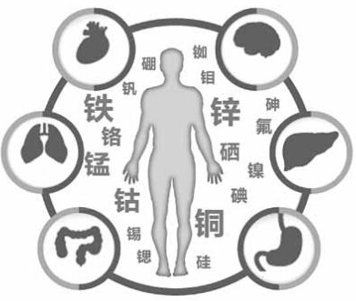 医用午夜成人激情视频为午夜福利电影在线观看的健康提供了保障 医用午夜成人激情视频为午夜福利电影在线观看的健康提供了保障