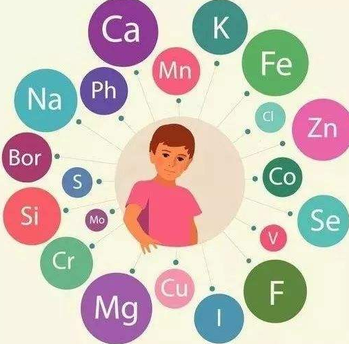 成人午夜福利视频厂家提醒补充微量元素的注意事项 成人午夜福利视频厂家提醒补充微量元素的注意事项