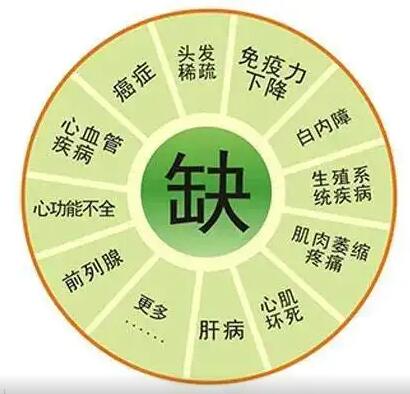 医用午夜成人激情视频