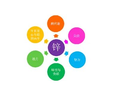 微量元素测定仪厂家提示关爱男士健康，适度补充锌元素也不能少！